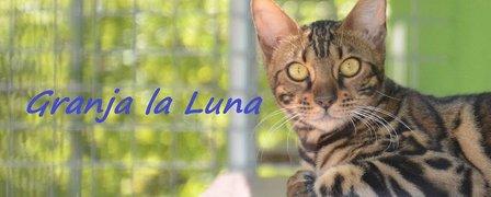 Granja La Luna residencias caninas Madrid
