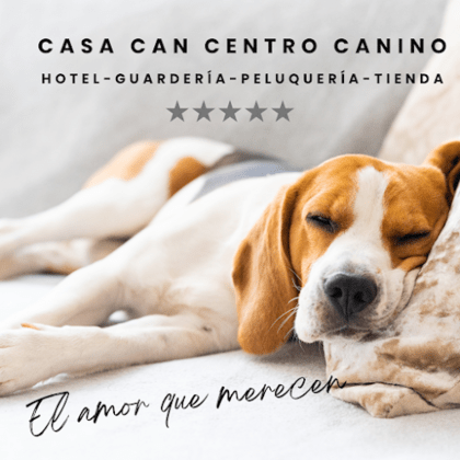 Casa Can Centro Canino
