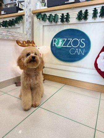 Rizzo's Can