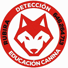 Educación canina Alfredo Rubira