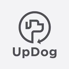 UpDog Peluquería y Guardería Canina