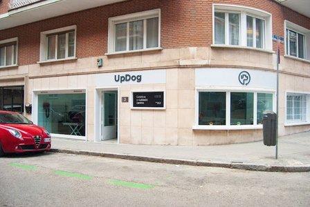 UpDog Peluquería y Guardería Canina