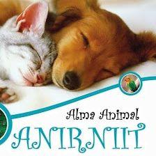 ANIRNIIT, Alma Animal