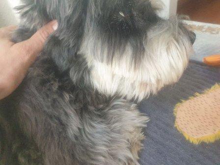 Peluquería Jandri