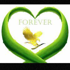 Productos Aloe Vera distribuidor autorizado
