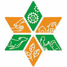 Paramascotas Educación Canina Tienda