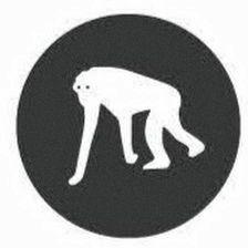 Monkey Garden
