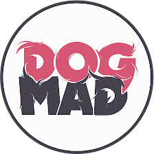 DogMadrid Guardería y Educación Canina