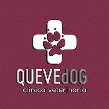 Veterinary Clinic Quevedog