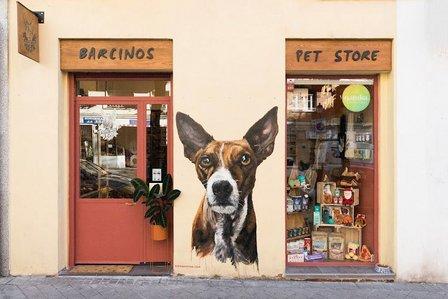 Barcinos Pet Store - Chamberí