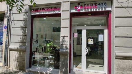 Veterinary Clinic Quevedog