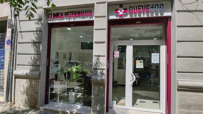 Veterinary Clinic Quevedog