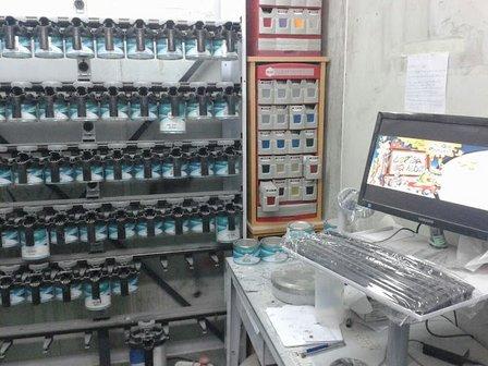 Ecomotor Becerril