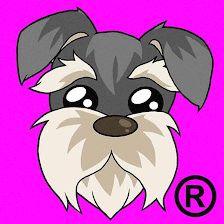 Barbudogs Dog Grooming