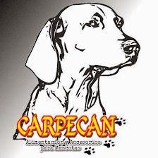 CARPECAN NUTRICIÓN Y ESTILISMO CANINO