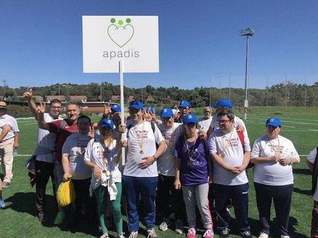 Apadis