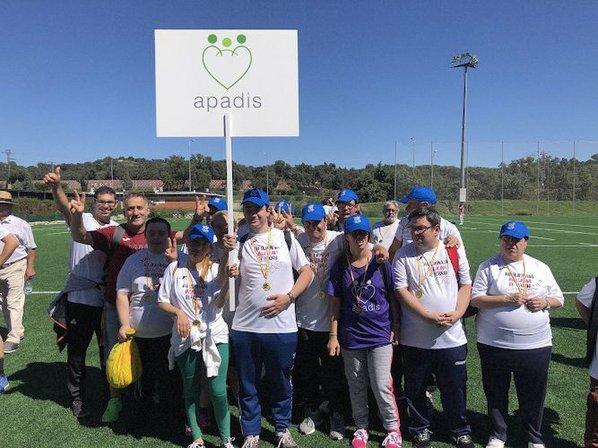 Apadis