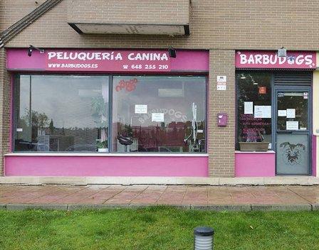 Barbudogs Dog Grooming