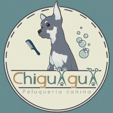 Chiguagua Peluquería Canina Autolavado