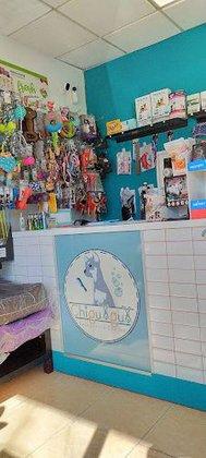 Chiguagua Peluquería Canina Autolavado
