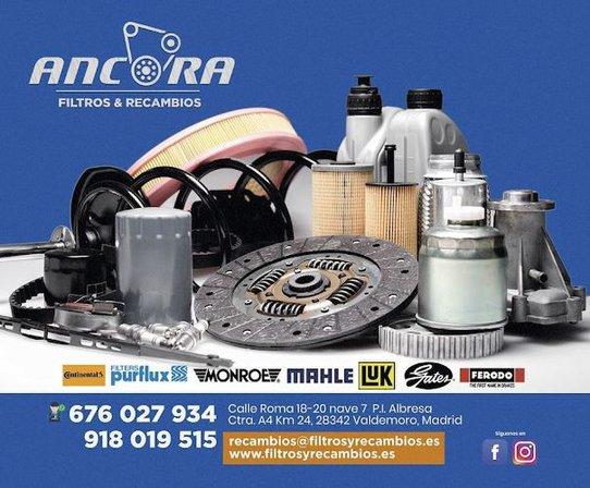 Filtros y Recambios Ancora
