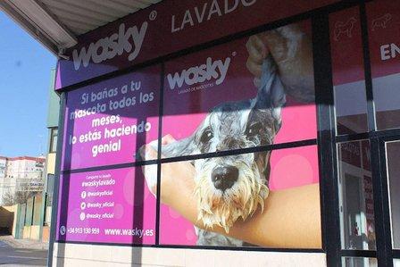 Wasky | Autolavado de mascotas Fuenlabrada