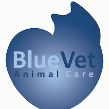 BlueVet Veterinario Villanueva de la Cañada