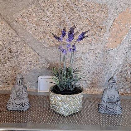 Ine Reflexologia Torrelodones