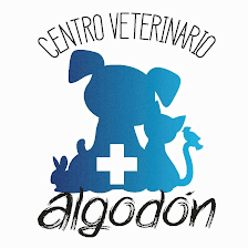 Cotton Veterinary Clinical Center