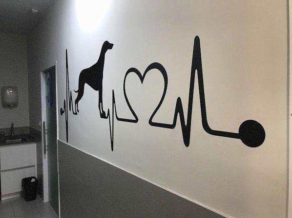 Cotton Veterinary Clinical Center