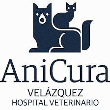 AniCura Velázquez Hospital Veterinario