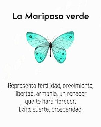 Tessa belleza y bienestar