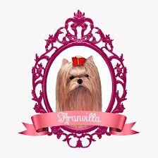Aranvilla Peluquería Canina