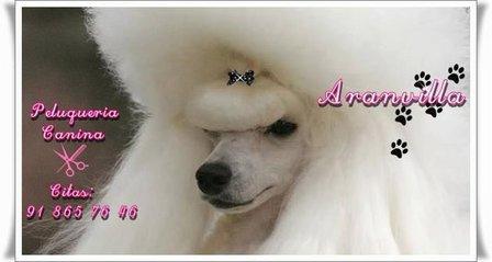 Aranvilla Peluquería Canina