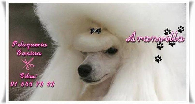 Aranvilla Peluquería Canina