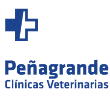 Pets Veterinary Clinic
