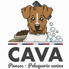 CAVA - MASCOTAS