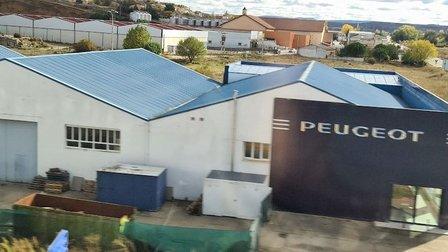 Peugeot Falafa