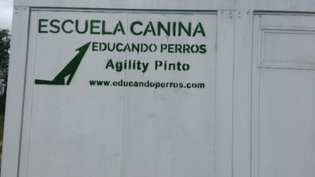 Club Agility Pinto
