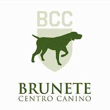 Centro Canino Brunete