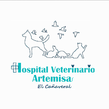 Hospital Veterinario Artemisa