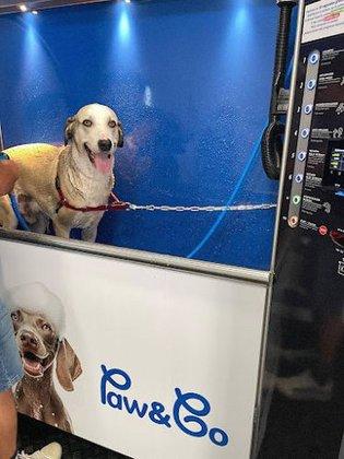 Paw&Go - Autolavado de perros y peluquería canina