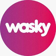 Wasky | Autolavado de mascotas Arturo Soria