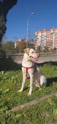 Berrocal Veterinary Clinic
