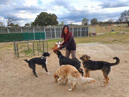 Asociación Canina Educadog