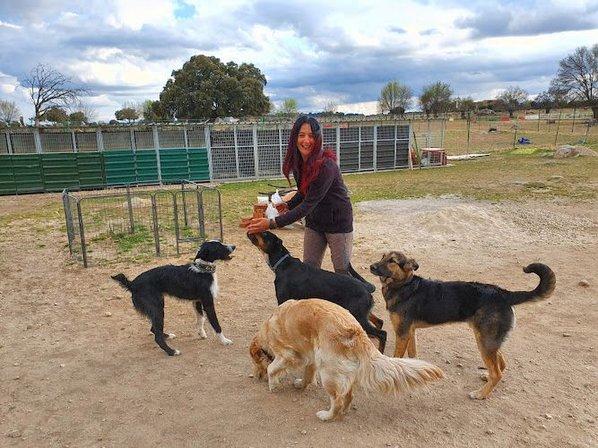 Asociación Canina Educadog