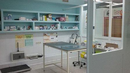 CLINICA VETERINARIA MIMASVET