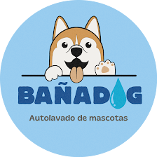 Bañadog Autolavado de Mascotas