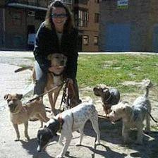 Ymascotas Solidaria