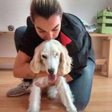 los baños de mara peluqueria canina en parla